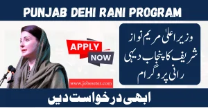 Punjab Dehi Rani Program by Chief Minister Maryam Nawaz Sharif 2024