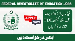 Federal Directorate of Education FDE Jobs 2024 Online Apply