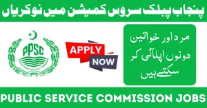 Punjab Revenue Authority PRA Jobs 2024